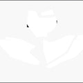 White Backgrounds KTM SX85 2018-2023