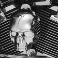 Kuryakyn Skull Horn Cover Chrome #5730 Harley Davidson