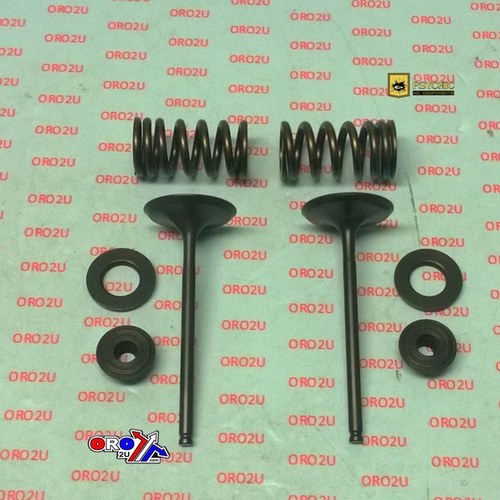 Psychic Intake Valve Kit Kawasaki KX250F 2004-2006, Suzuki RM-Z250 2004-2006