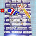 Winderosa Water Pump Gasket Kit Kawasaki KX250 88-91, KDX250 91-94