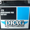DS Agm Maintenance Free Battery #212244