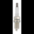 Champion Spark Plug RC7YCC (OE014/T10) (NGK Ref BKR7EKC)