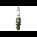 Champion Ducati Spark Plug RA59GC/T10 (NGK Ref DCPR9EIX)