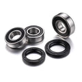 Rear Wheel Bearing Kit Kawasaki KLX400R 2003-2004, KLX400SR 2003-2004