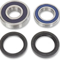 Rear Wheel Bearing Kit For Honda Trx 420 TM1 2016