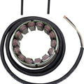 Rick's Motorsports Stator #21-031 Ducati