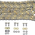 Regina 520 Zse Series Enduro Z-Ring Chain 118 Links