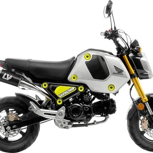 Leo Vince LV-10 High Full Exhaust System Carbon Fiber/Stainless 15253C for Honda