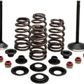 Kibblewhite Black Diamond Complete Engine Valve Kit #20-22850