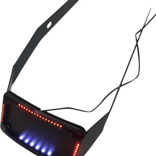Cycle Visions Curved License Plate Mount with LED Slick Signals Black