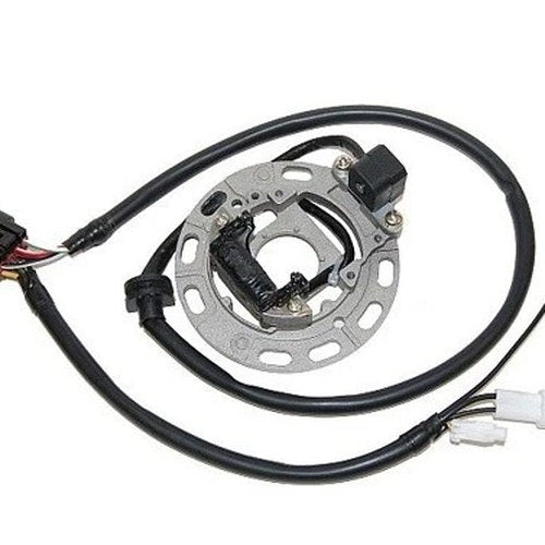 Electrosport Stator #ESC1370 fits Kawasaki KX85/KX65/KX100