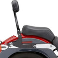 Cobra Detachable Backrest Black #602-2001B Harley Davidson