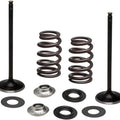 Kibblewhite Stainless Steel Conversion Intake Valve & Spring Kit Husqvarna/KTM