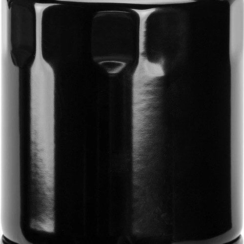 HardDrive Premium Oil Filter Black #PS171B Harley Davidson