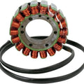 Rick's Motorsports Stator Aprilia Tuono 1000R 2006-2009