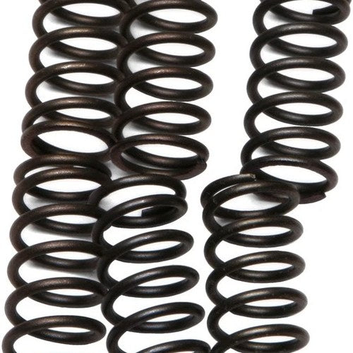 Ebc Csk Clutch Springs #CSK38 fits Kawasaki ZRX1200R/Ninja ZX-9R/Ninja ZX-7RR