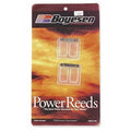 Boyesen Power Reeds #6TR134 Beta Evo 80 JR/EVO 80 SR