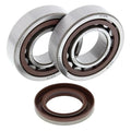 Moose Crank Bearing & Seal Kit #24-1106 KTM