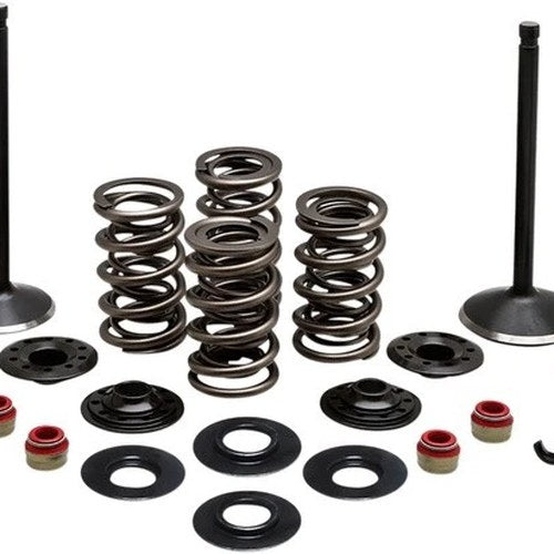 Kibblewhite Black Diamond Complete Engine Valve Kit #20-22650 Harley Davidson