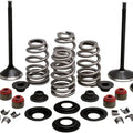 Kibblewhite Black Diamond Complete Engine Valve Kit #20-23150