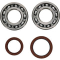 All Balls Crankshaft Bearing & Seal Kit #24-1123 Beta