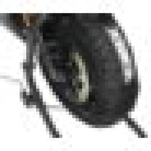 Vortex Racing Tire Warmer TW101 for 16.5-17" Front & Rear Wheels