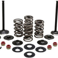 Kibblewhite Black Diamond Complete Engine Valve Kit #20-22750