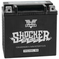 Twin Power Shocker Battery YTX14L-BS #GHDZ14HL-BS Harley Davidson