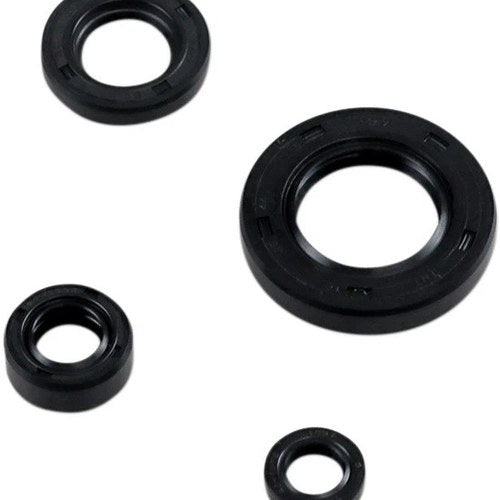 Moose Engine Oil Seal Kit for Suzuki DR 650 SE 1996-2015