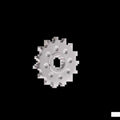 Vortex Racing Steel Front Sprocket 520 16 Tooth - Silver for Powersports