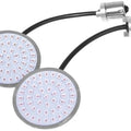 Letric Lighting Bullet Style 1156 LED Turn Signal Inserts Red