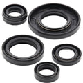 Moose Engine Oil Seal Kit #96020 Yamaha TT-R125L/TT-R125LE/TT-R125E/TT-R125