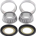 Moose Steering Bearing and Seal Kit #22-1022