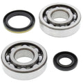 Suzuki RM250, 1994-1995, Crankshaft Bearings & Seal Kit - Crank Shaft - RM 250