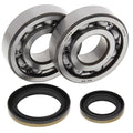Suzuki RM250, 1996-2002, Crankshaft Bearings & Seal Kit - Crank Shaft - RM 250