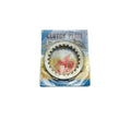 Clutch Plate Kit For Ajs DD-E5 125 2008 Regal Raptor