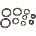 KTM XCR-W 450, 2008, Engine Crank/Crankshaft / Oil Seal Set