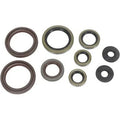 KTM XCR-W 530, 2008, Engine Crank/Crankshaft / Oil Seal Set