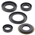 Yamaha TTR225, 1999-2004, Engine Crank/Crankshaft / Oil Seal Set - Ttr 225