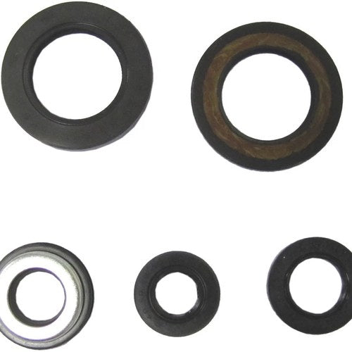 Oil Seal Kit Yamaha XT600Z