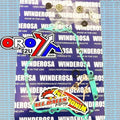 Winderosa Water Pump Kit Kawasaki KX125 1988-1991