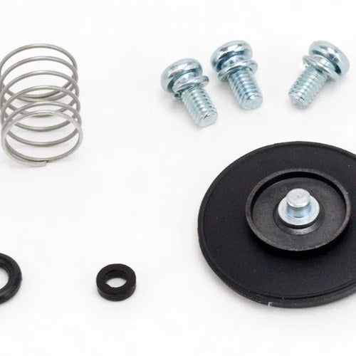 Yamaha WR250F, 2001-2013, Accelerator Pump Rebuild Kit - WR 250F