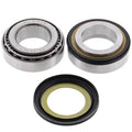 Yamaha FZ8, 2011-2014, Steering Bearing Kit - FZ 8, 800