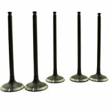 AHL Piston Kit, image 3 of 4