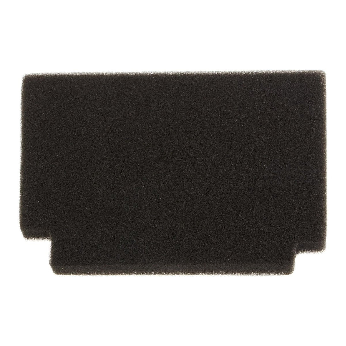 Air Filter CMSWPAF1293022