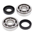 All Balls Crank Bearing