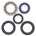 All Balls Wheel Bearing