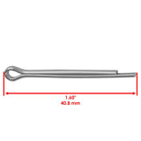 Caltric Nut, image 3 of 4