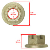 Caltric Nut, image 2 of 4