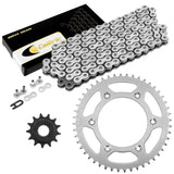 Caltric Chain & Sprocket Kit CH107AA2034, image 1 of 4